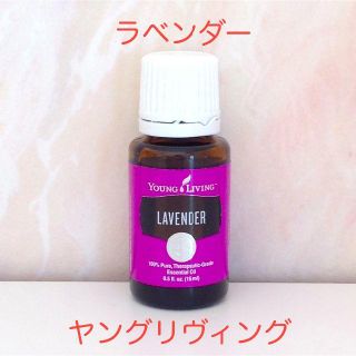 新品・送料込 ☆ラベンダー 15ml ☆ヤングリヴィング☆本社直輸入品(エッセンシャルオイル（精油）)