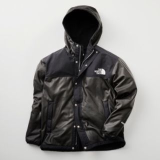 ザノースフェイス(THE NORTH FACE)のXXLサイズ THE NORTH  FACE GTX PAMIR JACKET (マウンテンパーカー)