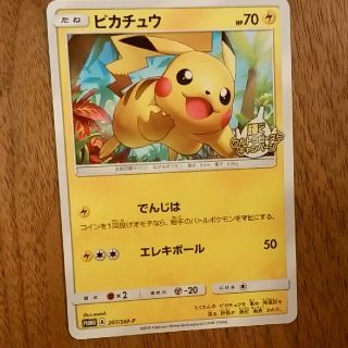 ポケモン(ポケモン)のポケモンカード　ピカチュウ　プロモカード(シングルカード)