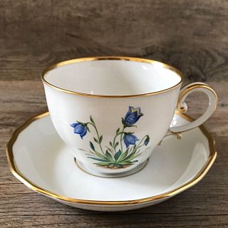 マイセン(MEISSEN)のアウガルテン コーヒー カップ ソーサー アルペンフラワー ブルーベル 新品(食器)