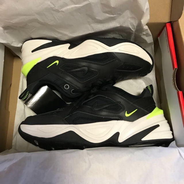 ナイキNIKE AIR Monarch “The M2K Tekno” 24.5㎝