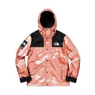 シュプリーム(Supreme)のsupreme North Face mountain parka 最終値下げ(マウンテンパーカー)