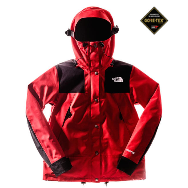 海外限定 ノースフェイス 1990 Gore-Tex ゴアテックス