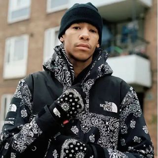 シュプリーム(Supreme)の新品未使用❗タグ付きsupreme Bandana Mountain Parka(マウンテンパーカー)