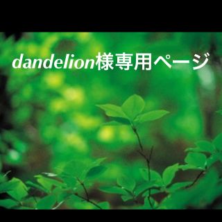 キワセイサクジョ(貴和製作所)のdandelion様専用ページ(各種パーツ)