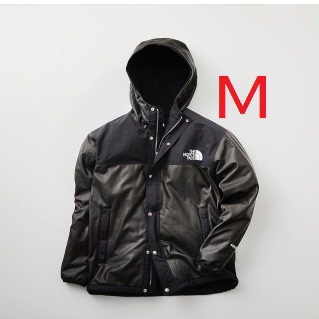 【THE NORTH FACE 】 GTX PAMIR JACKET Mサイズのサムネイル