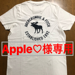 アバクロンビーアンドフィッチ(Abercrombie&Fitch)の【新品・未使用】アバクロ メンズ Tシャツ 白(Tシャツ/カットソー(半袖/袖なし))