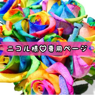 デイジーストア(dazzy store)のニコル様💗専用ページ(ミニドレス)