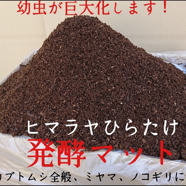 カブトムシ幼虫が大きくなります！ヒマラヤひらたけ発酵マット 栄養価抜群！産卵にもの通販 by iketeru's shop｜ラクマ