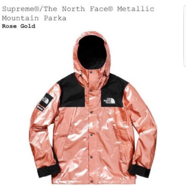 Supreme Metallic Mountain Parka