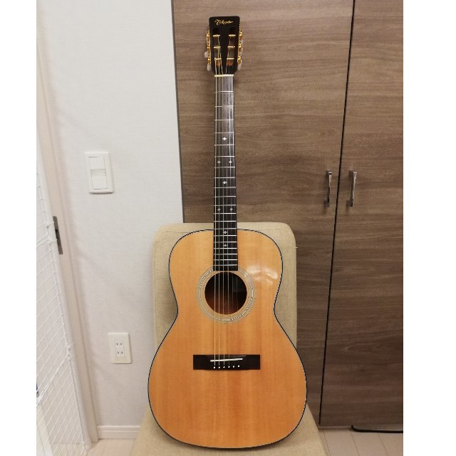 Takamine TSN500