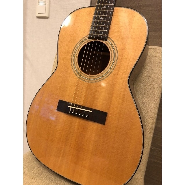 Takamine TSN500