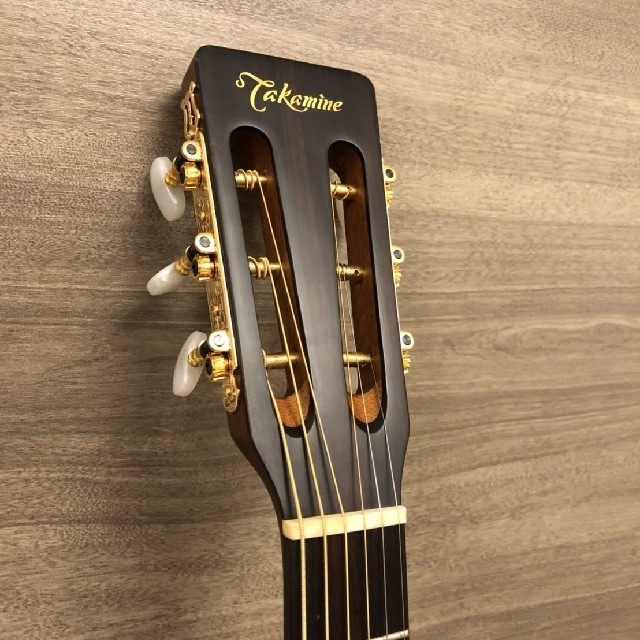 Takamine TSN500