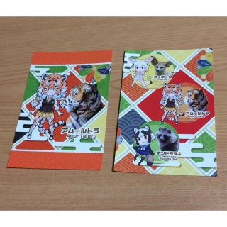 けものフレンズ ポストカード 非売品(キャラクターグッズ)