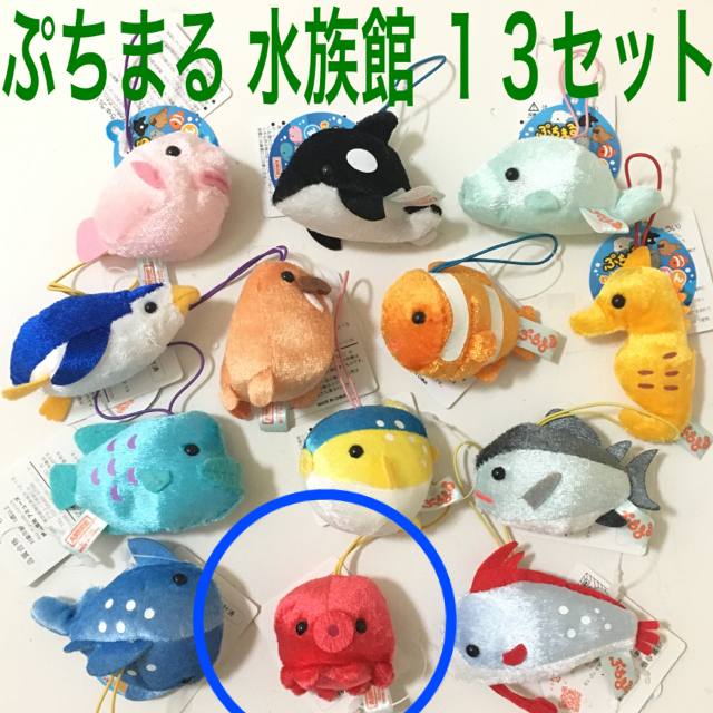 【こぐま様専用】ぷちまる 5セット ぬいぐるみ