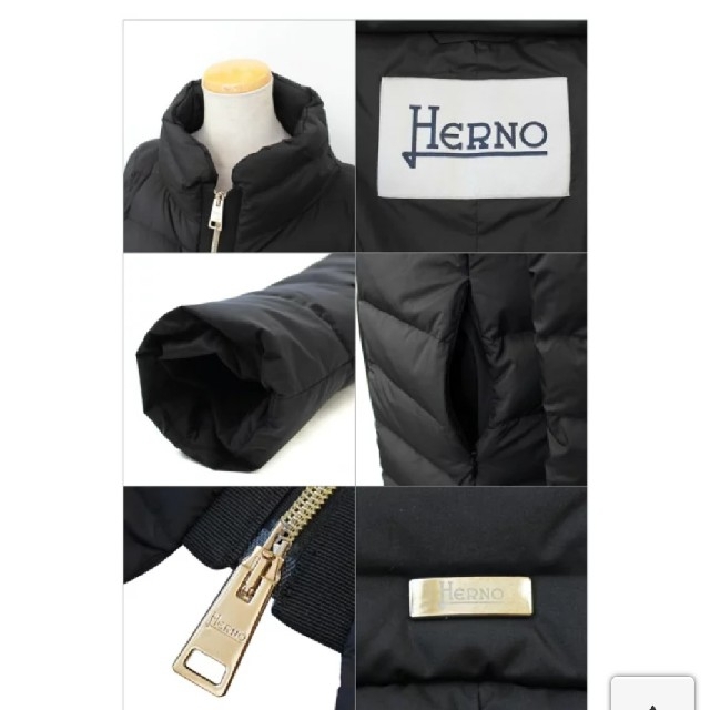 HERNO(ヘルノ)のヘルノ　レディースダウン レディースのジャケット/アウター(ダウンコート)の商品写真