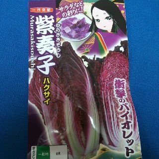 種 紫 白菜(野菜)