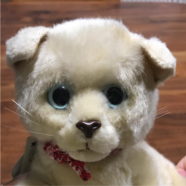 可愛いネコのぬいぐるみ Dousin 日本製 リアル 目開き 童心