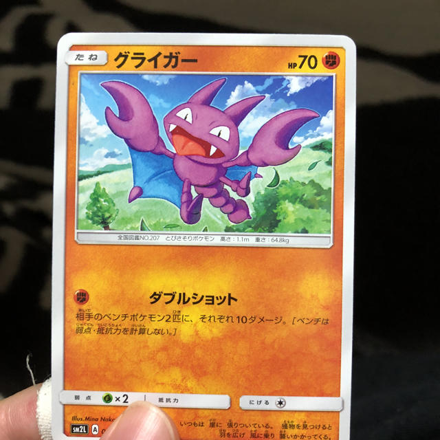 ポケモン グライガーの通販 By 松久智哉 S Shop ポケモンならラクマ ポケモン グライガーの通販 By 松久智哉 S Shop ポケモンならラクマ