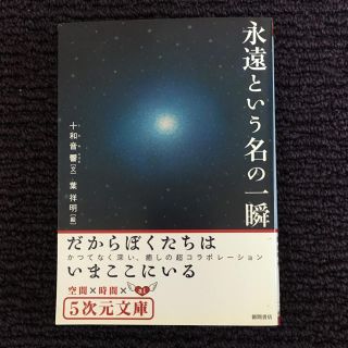 永遠という名の一瞬(文学/小説)