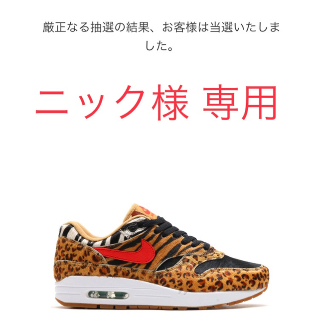 【専用】NIKE AIR MAX1 DLX 【28.5㎝】