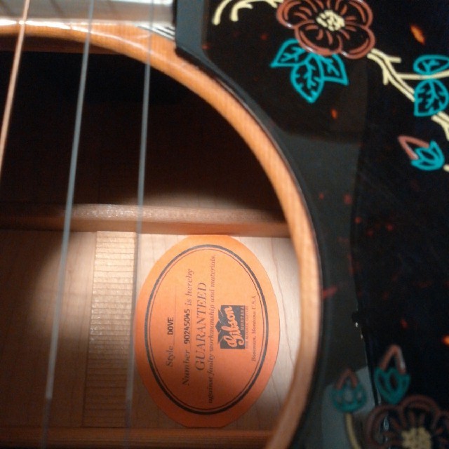 [特価良品]Gibson Dove Antique Cherry 1995年製