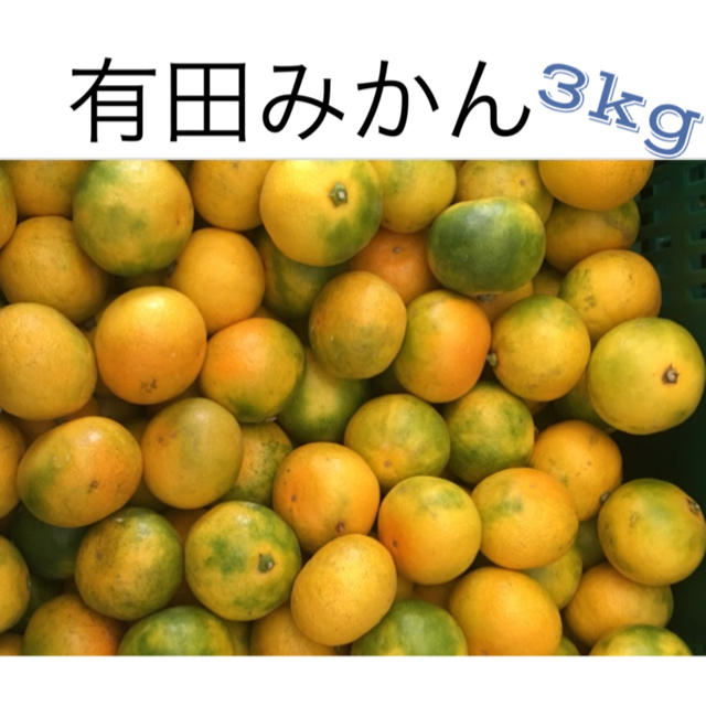 有田みかん 3kg 食品/飲料/酒の食品(フルーツ)の商品写真