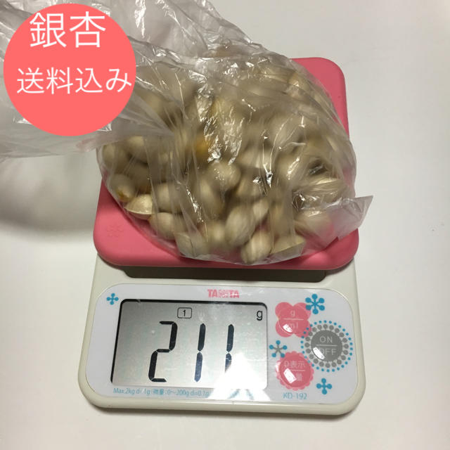 銀杏  200＋α 食品/飲料/酒の食品(野菜)の商品写真