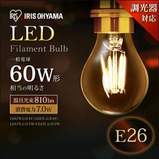 LED フィラメント 新品 E26(蛍光灯/電球)