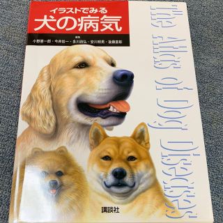 コウダンシャ(講談社)の【BOOK】イラストでみる 犬の病気(語学/参考書)