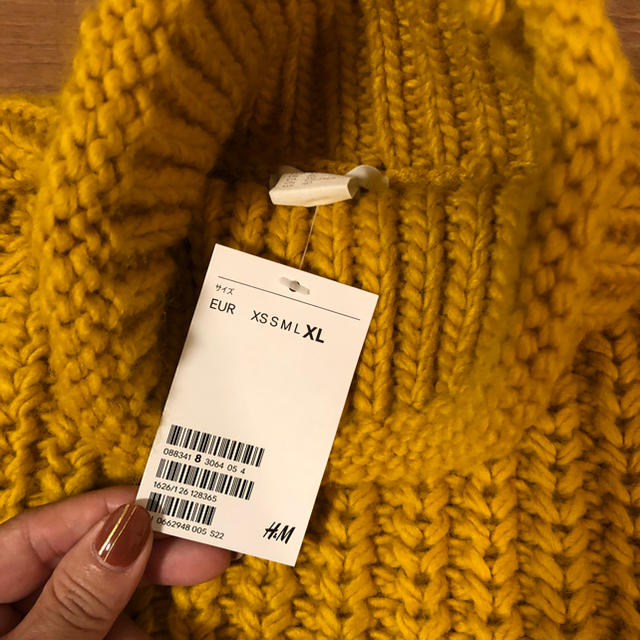 H&M(エイチアンドエム)のH&M チャンキーニット XL レディースのトップス(ニット/セーター)の商品写真