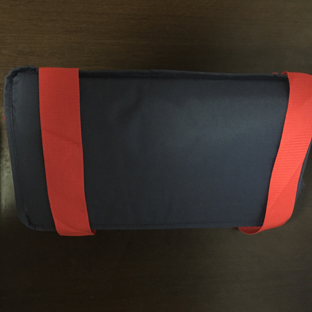 コストコ(コストコ)のもこ✴︎様専用  お取り置き  コストコ 保冷バッグ 小 レディースのバッグ(エコバッグ)の商品写真