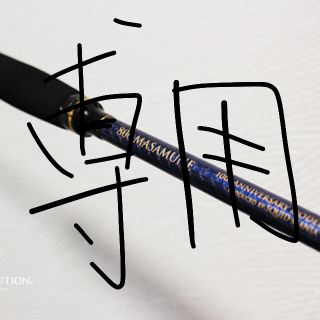 ダイワ(DAIWA)のれな様専用  スクイッドマニア マサムネ(ロッド)