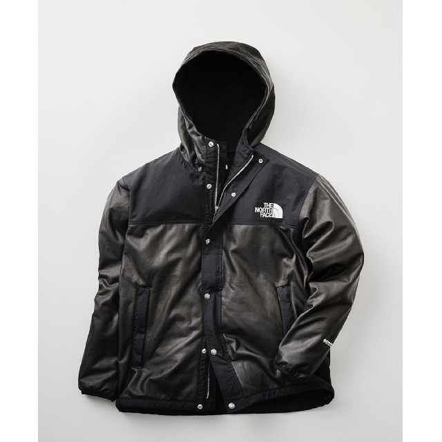 THE NORTH FACE(ザノースフェイス)のTHE NORTH FACE ノースフェイス GTX PAMIR JACKET メンズのジャケット/アウター(マウンテンパーカー)の商品写真