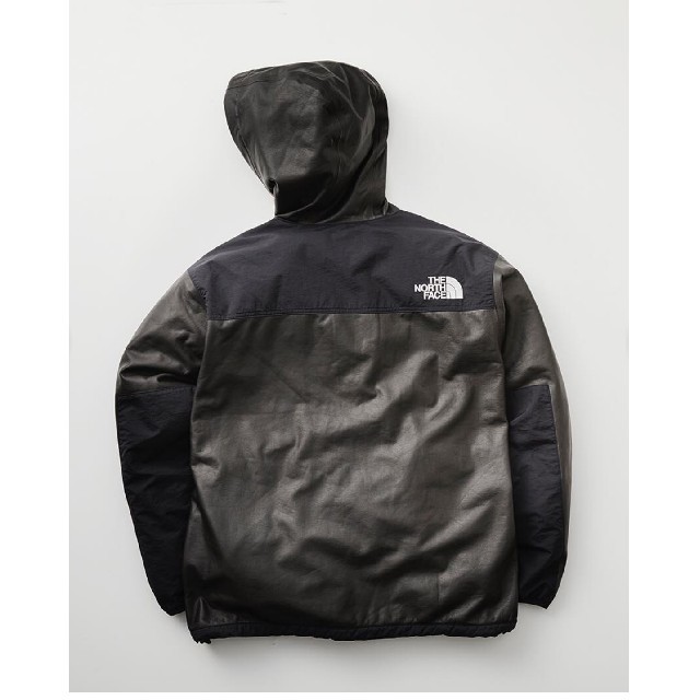 THE NORTH FACE(ザノースフェイス)のTHE NORTH FACE ノースフェイス GTX PAMIR JACKET メンズのジャケット/アウター(マウンテンパーカー)の商品写真