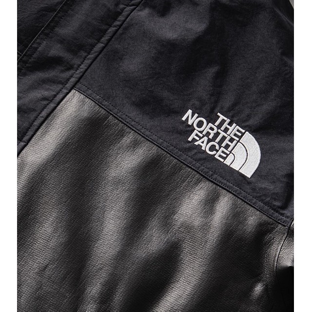 THE NORTH FACE(ザノースフェイス)のTHE NORTH FACE ノースフェイス GTX PAMIR JACKET メンズのジャケット/アウター(マウンテンパーカー)の商品写真