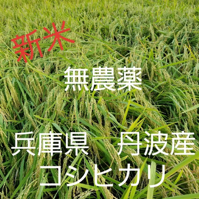 平成30年度兵庫県丹波産　無農薬コシヒカリ5キロ 食品/飲料/酒の食品(米/穀物)の商品写真