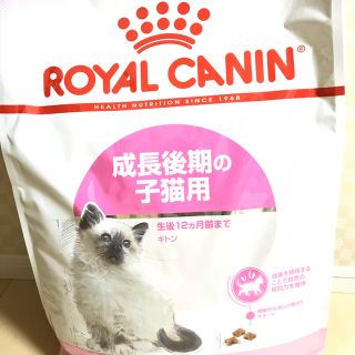 ロイヤルカナン(ROYAL CANIN)の【小分け】ロイヤルカナン キトン 4kg 【11/1開封】(猫)