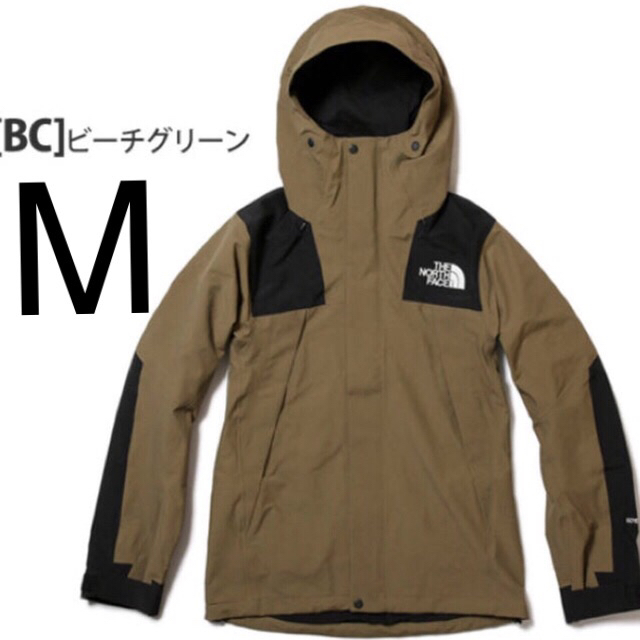 Mサイズ ビーチグリーン 18AW ノースフェイス マウンテン ジャケット