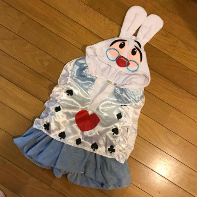 Disney(ディズニー)のdハロ dハロウィン 仮装 白うさぎ 不思議の国のアリス 80センチ エンタメ/ホビーのコスプレ(衣装)の商品写真