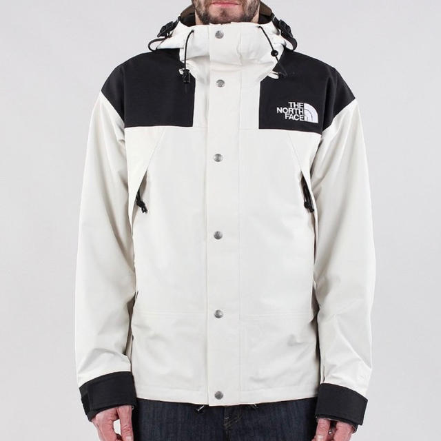 THE NORTH FACE(ザノースフェイス)のLThe North Face 1990 MOUNTAIN JACKET GTX メンズのジャケット/アウター(マウンテンパーカー)の商品写真