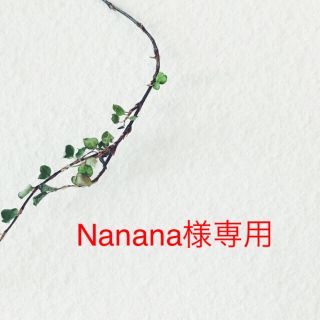 Nanana様専用(ドライフラワー)