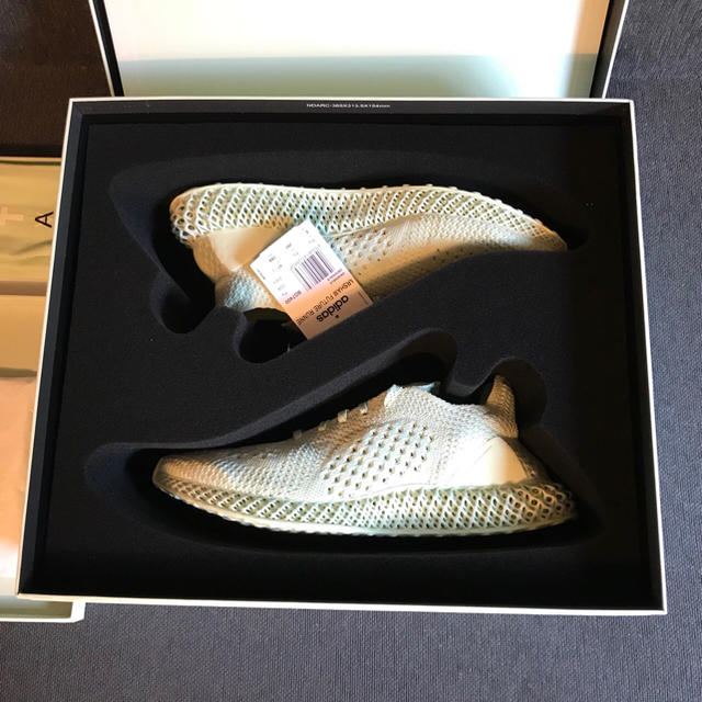 adidas(アディダス)の希少 adidas Daniel Arsham futurecraft 4D  メンズの靴/シューズ(スニーカー)の商品写真