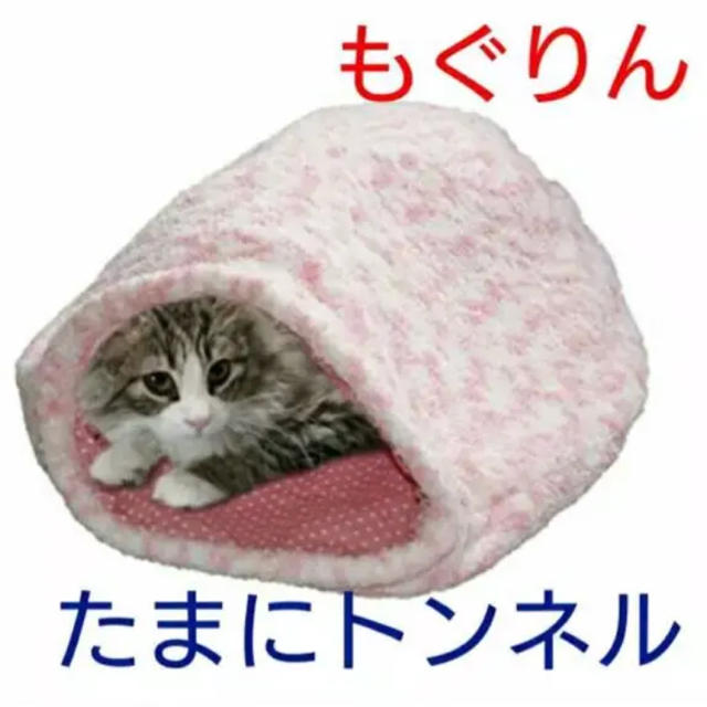 ♡新品 猫布団 もぐりん 猫 ねこ ネコ トンネル ピンク ねこぶくろ その他のペット用品(猫)の商品写真