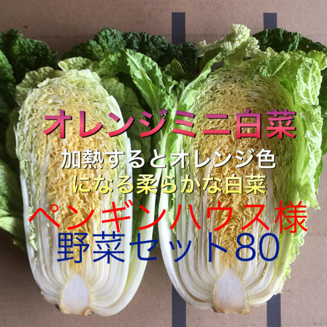 野菜セット 80 ペンギンハウス様専用 食品/飲料/酒の食品(野菜)の商品写真