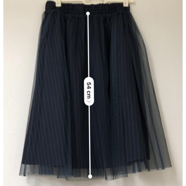 LEPSIM(レプシィム)のレプシム チュールスカート リバーシブル レディースのスカート(ひざ丈スカート)の商品写真