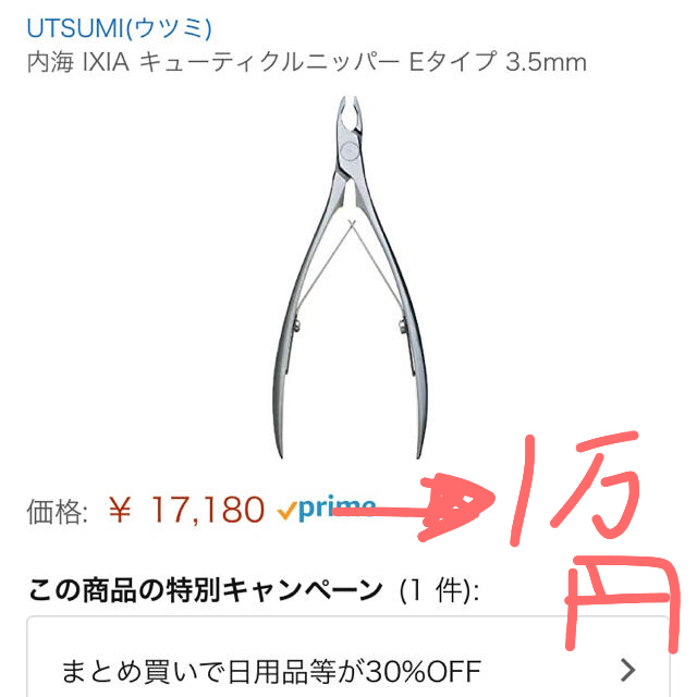 ほぼ未使用内海ニッパー ネイルセット、独学にも