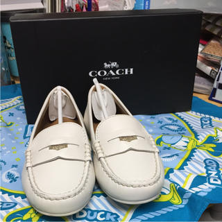 コーチ(COACH)のcoach ペニー 22.5cm 新品(ローファー/革靴)