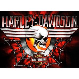 ハーレーダビッドソン(Harley Davidson)のハーレーダビッドソン スカルプリントTシャツ Sサイズ ライダース(Tシャツ/カットソー(半袖/袖なし))