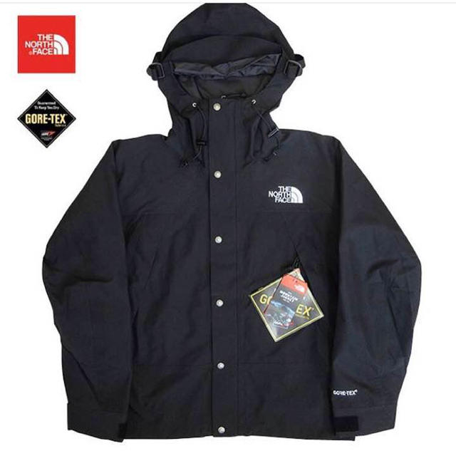 THE NORTH FACE - the north face mountain jacket 海外限定
